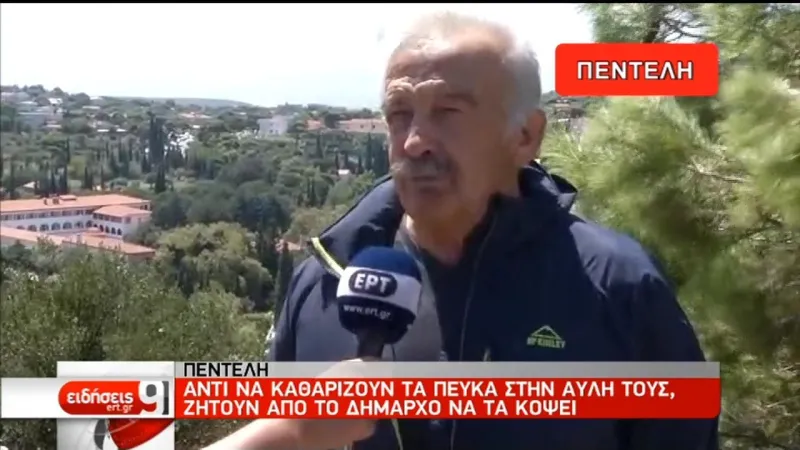 Πεντέλη: Ζητούν να κόψουν δέντρα για να μην πιάσει φωτιά