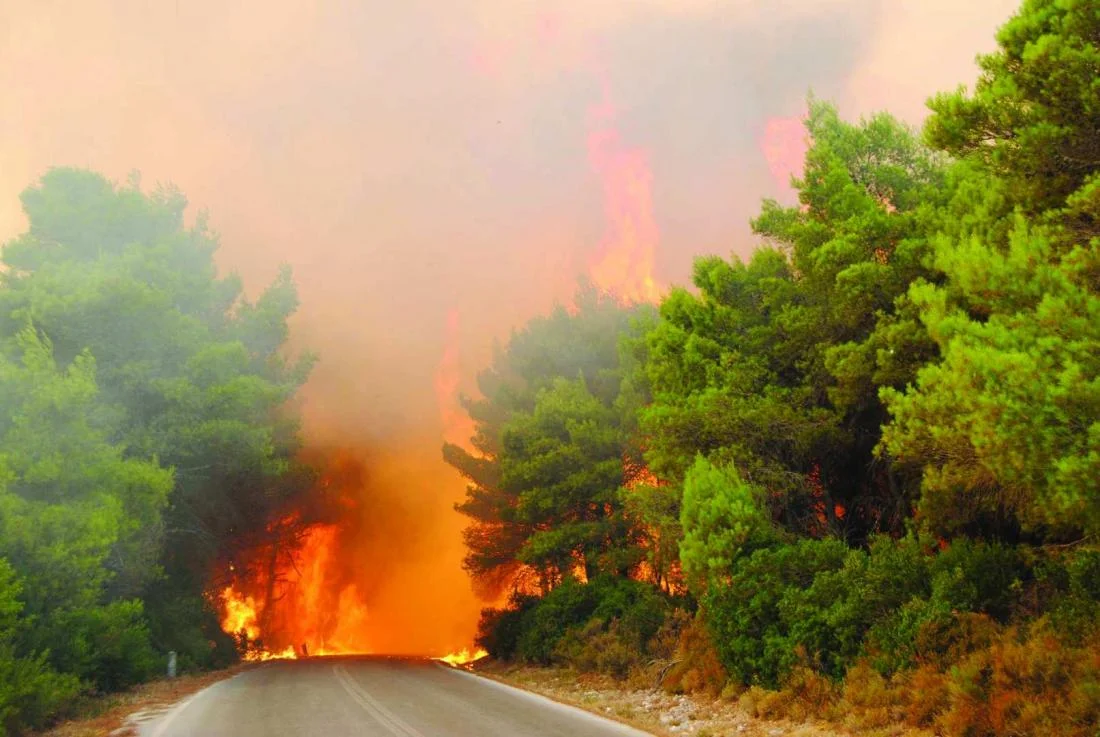 Μεγάλη πυρκαγιά σε δασική έκταση στην Εύβοια