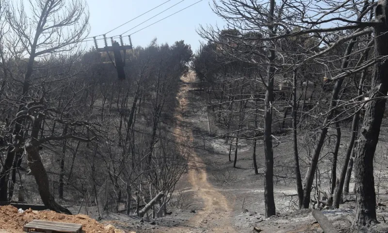 Μάτι: Ένας χρόνος μετά...