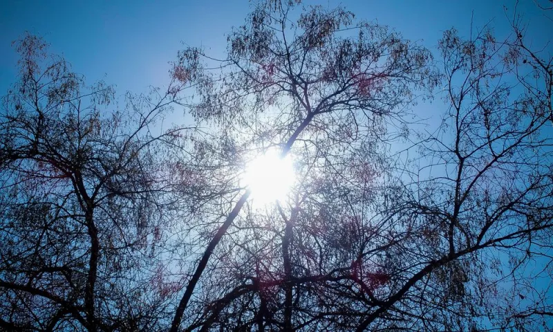 Καιρός 15/10: Θερμοκρασίες... καλοκαιριού