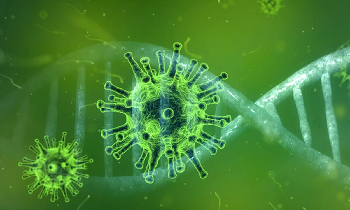 Κίνα: Εμφανίστηκε ο θανατηφόρος ιός «Hantavirus», ήδη ένας νεκρός! (pic)