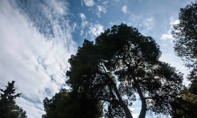 Καιρός 17/6: Με δύο... πρόσωπα και καταιγίδες (vids)