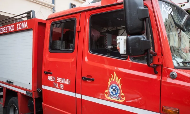 Κεφαλλονιά: Μεγάλη φωτιά σε δασική έκταση