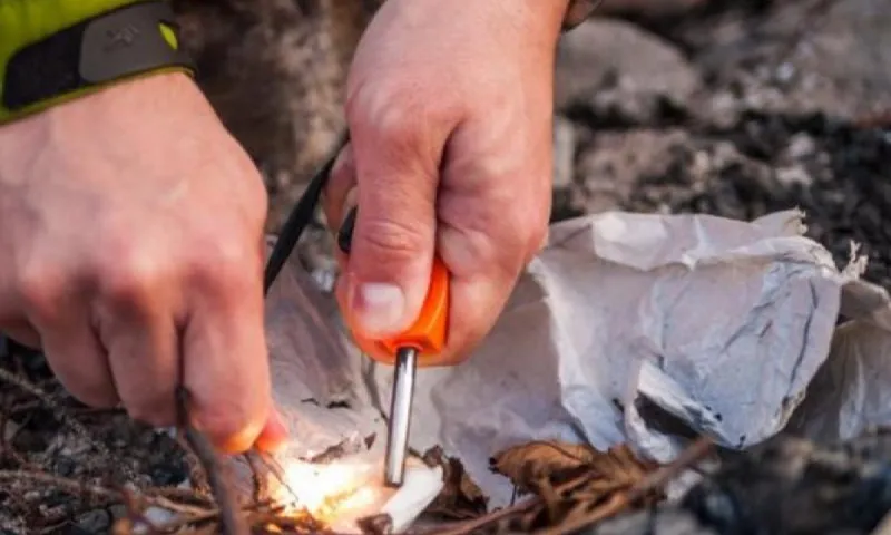 Φωτιές: Στη φυλακή οι πρώτοι εμπρηστές