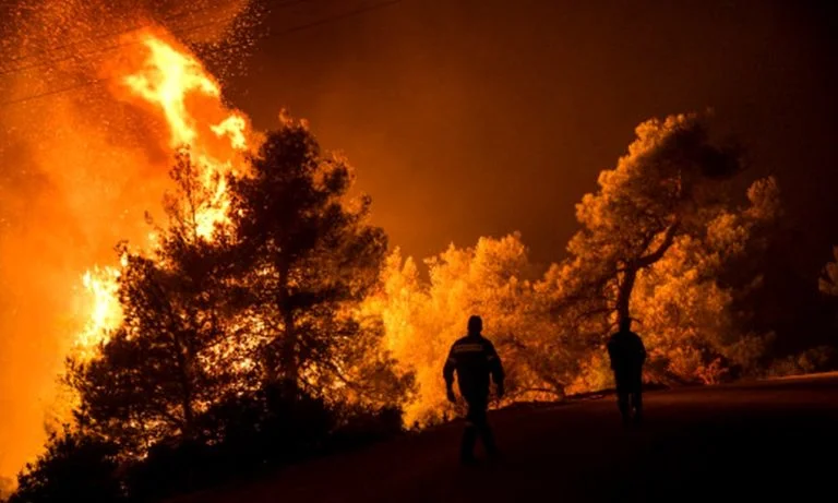 Εύβοια - Φωτιές: Κάηκαν πάνω από 510.000 στρέμματα - Νέα εικόνα από δορυφόρο που σοκάρει