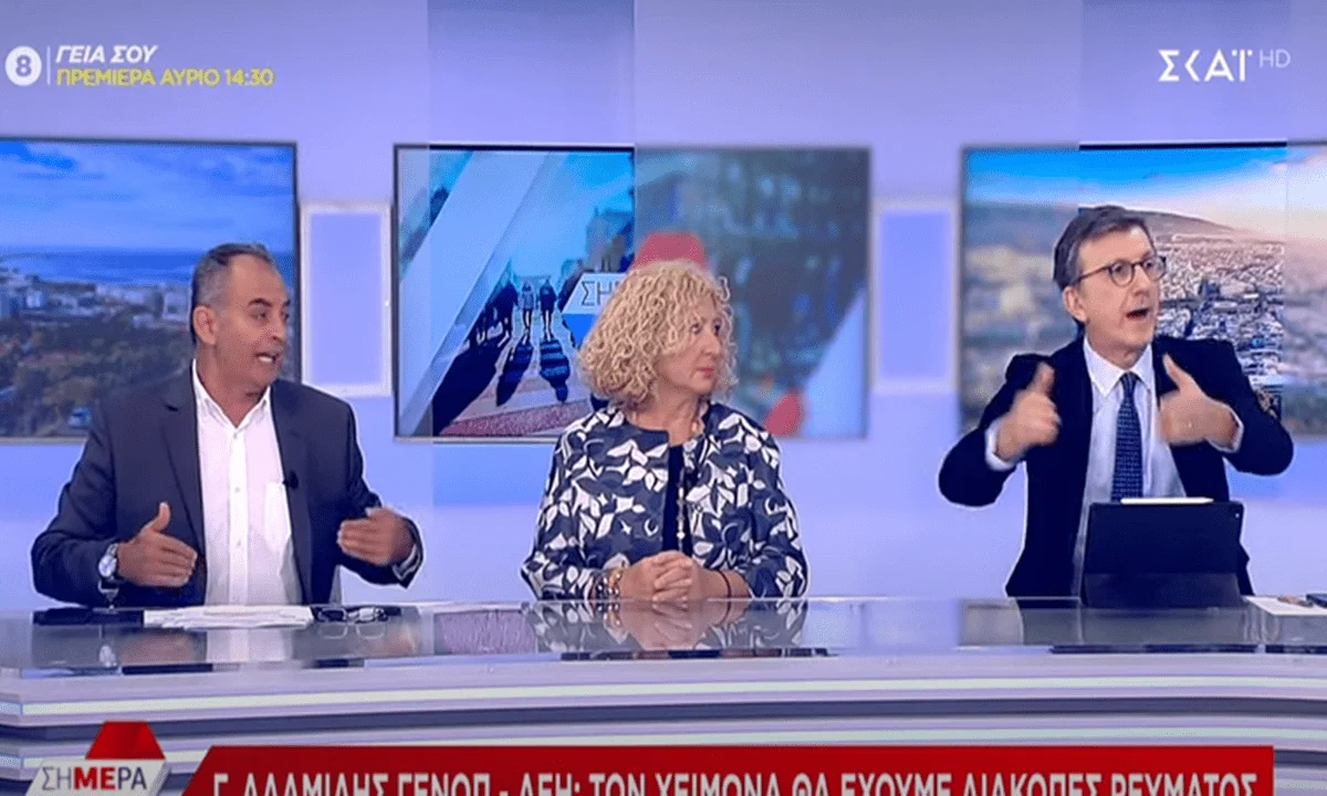 Καπέλο αισχροκέρδειας 75% στο κόστος προμήθειας ρεύματος κατήγγειλε ο πρόεδρος της ΓΕΝΟΠ ΔΕΗ - Προειδοποίησε για διακοπές ρεύματος.