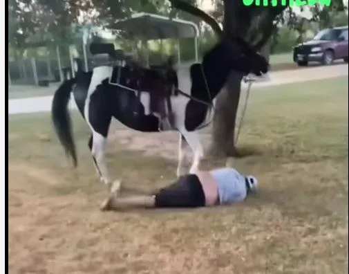 Καλά πήγε... αυτό κι έγινε Viral βίντεο στο διαδίκτυο!