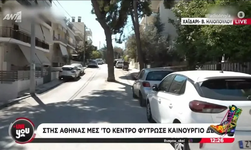 Ράδιο Αρβύλα: Το τεράστιο πεύκο μέσα στη μέση του και τα πρόβατα που έφαγαν όλο το χορτάρι γηπέδου!