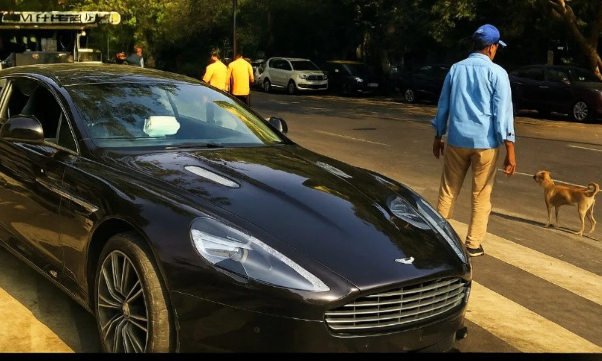 Οδηγός στην Ινδία συνέτριψε Aston Martin αξίας $700.000 για να προστατεύσει έναν αδέσποτο σκύλο. Μια αληθινή πράξη ανθρωπιάς που συγκινεί.