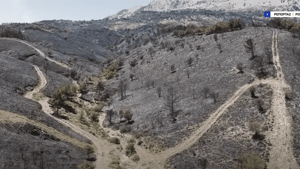 Συγκλονιστικά πλάνα από αέρος αποκαλύπτουν το τεράστιο μέγεθος της καταστροφής - Στάχτη έγινε σχεδόν το 1/3 του νησιού.