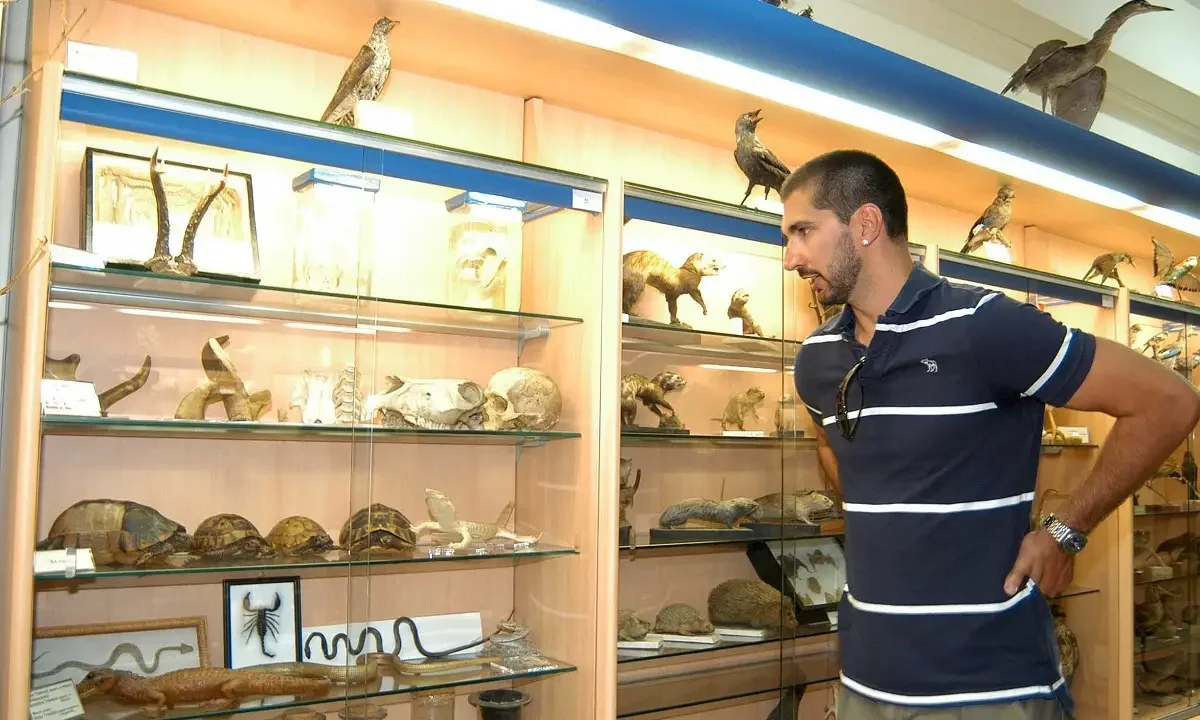 Ελλάδα και Σερβία κάνουν τα πάντα για να πείσουν το γιο του Πέτζα Στογιάκοβιτς να παίξει μπάσκετ εθνικών ομάδων