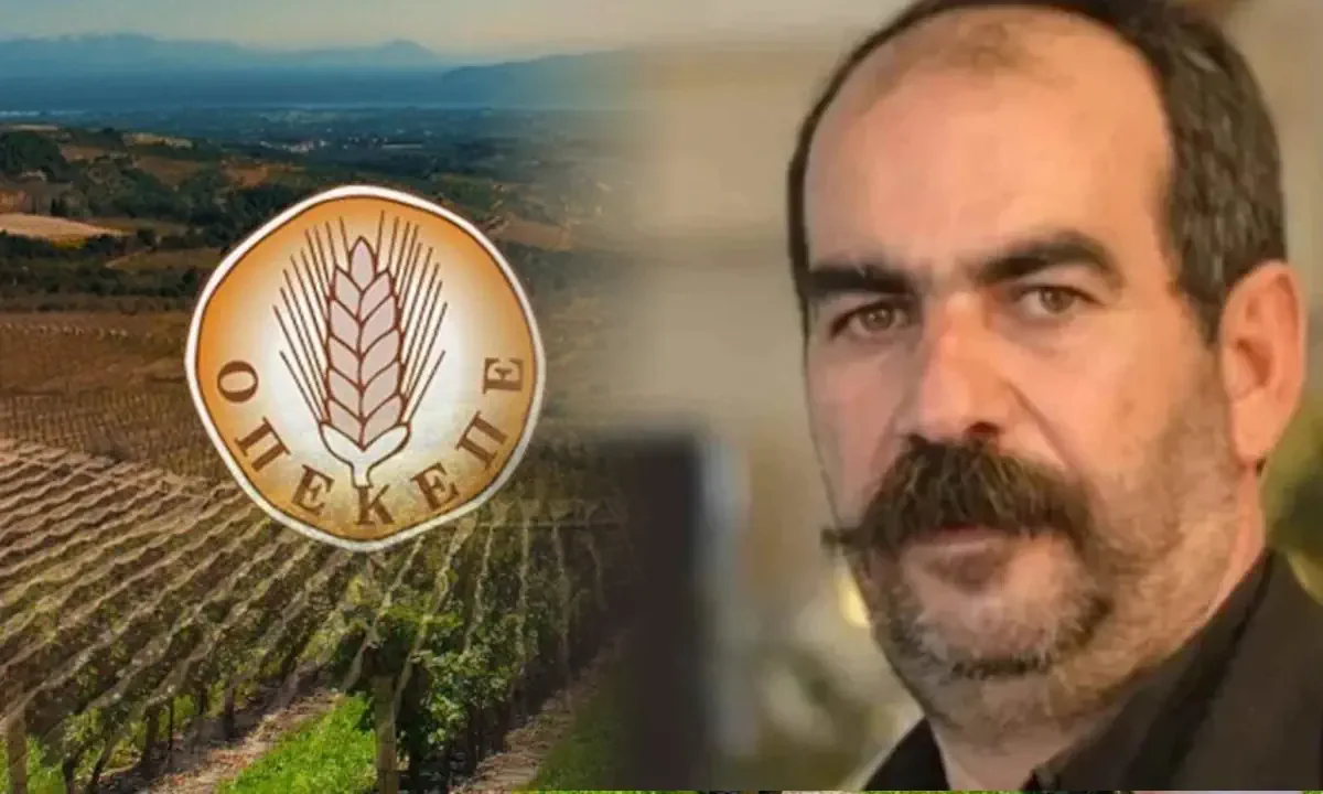ΟΠΕΚΕΠΕ: Κοροϊδία - Αντί η γαλάζια πλειοψηφία της Εξεταστικής να διατάξει τη βίαιη προσαγωγή του «Φραπέ», προχώρησε σε ακόμα μια κλήση του!