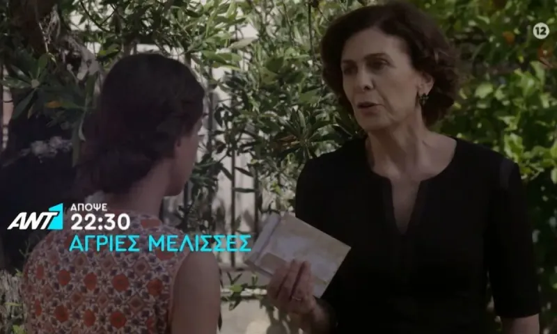 Έρχονται οι νέες «Άγριες Μέλισσες»; Η Σύγκρουση μπαίνει στο παιχνίδι του Mega