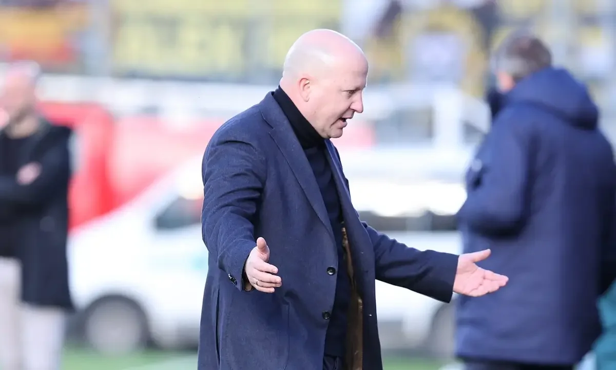 aek, nikolic