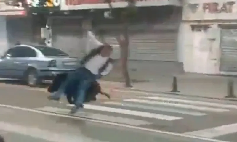 Τουρκία : Αγριογούρουνο κατέβηκε στο κέντρο του Μπατμάν και τραυμάτισε τρεις ανθρώπους (video)