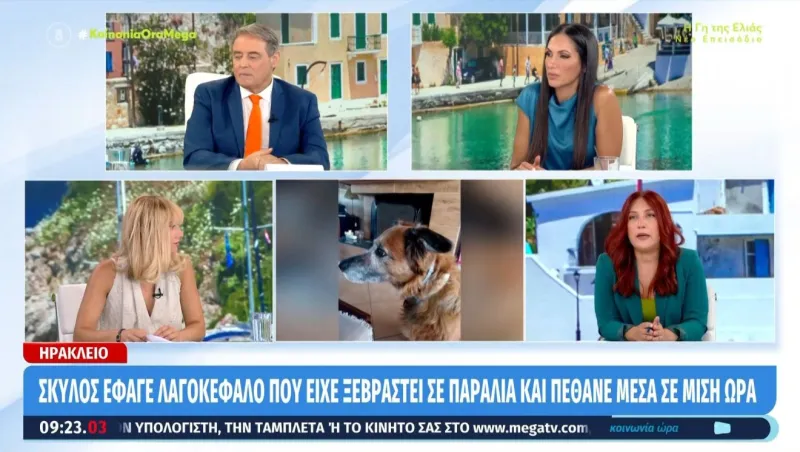 Prime time 2026: Γιατί τα κανάλια μεταθέτουν τις πρεμιέρες για τον Οκτώβριο