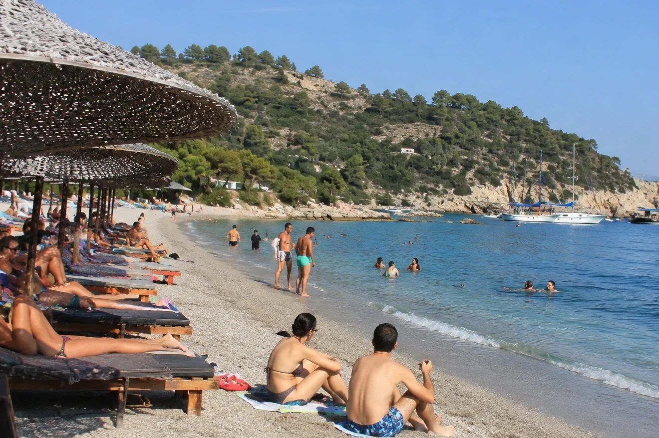 Το επικίνδυνο θαλάσσιο είδος που εξαπλώνεται σε ευρωπαϊκές ακτές