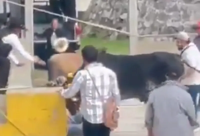 Βόδια ποδοπάτησαν άνδρα σε γιορτή στο Μεξικό (video)