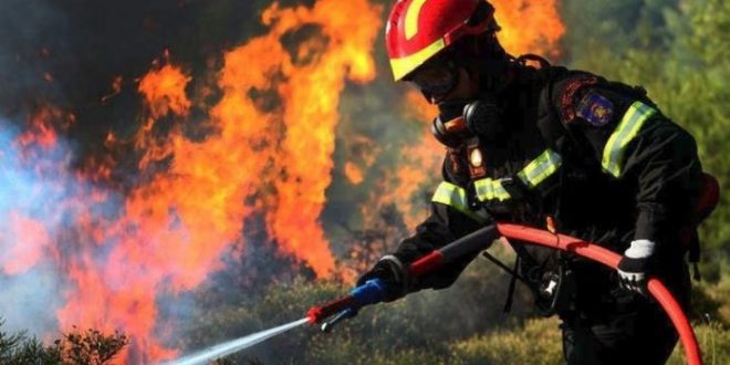 Πυρκαγιά στην Κεφαλονιά: Ολονύχτια μάχη με τις φλόγες