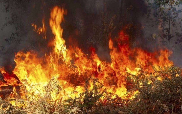 Πυρκαγιά στην Κύμη: Δεν υπάρχει ενεργό μέτωπο