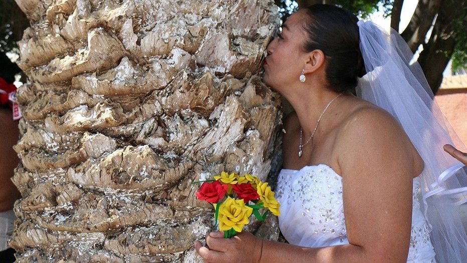 Οι γυναίκες στο Μεξικό… Παντρεύονται τα δέντρα (vid)