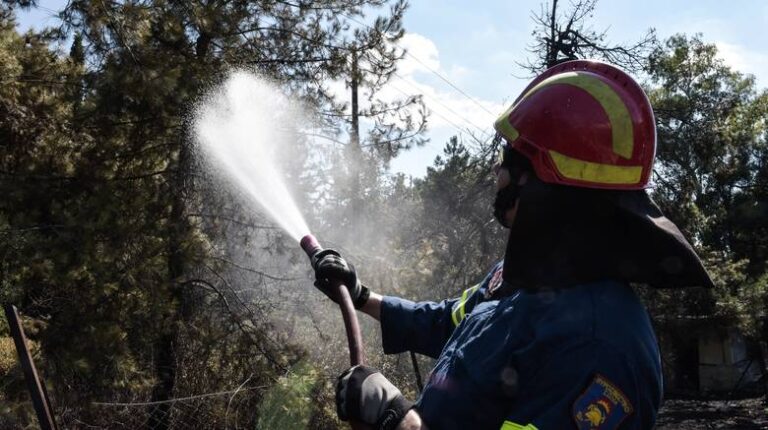 Ρόδος: Υπό έλεγχο η πυρκαγιά