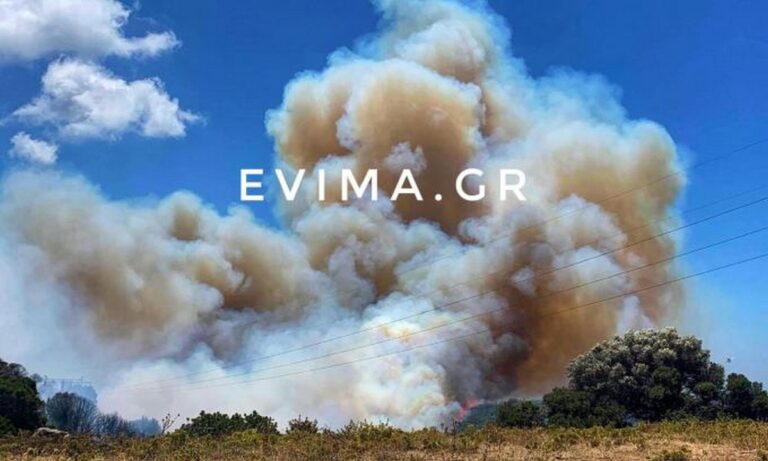 Εύβοια: Φωτιά εκτός ελέγχου στους Ραπταίους