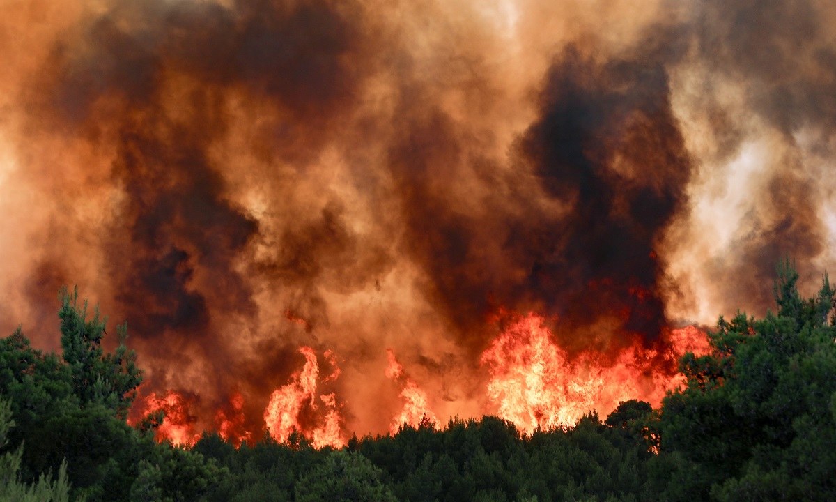 Αύξηση 450% παρουσίασαν οι καμένες εκτάσεις από τις φωτιές στην Ελλάδα το 2021, σύμφωνα με τα δεδομένα του Ευρωπαϊκού Συστήματος Πληροφόρησης για τις Δασικές Πυρκαγιές.