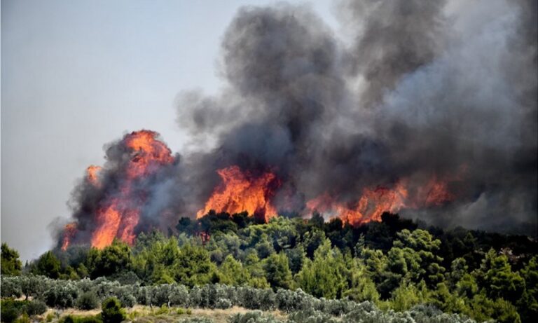 Φωτιά: Πολύ υψηλός κίνδυνος την Κυριακή (15/8) γι’ αυτές τις περιοχές