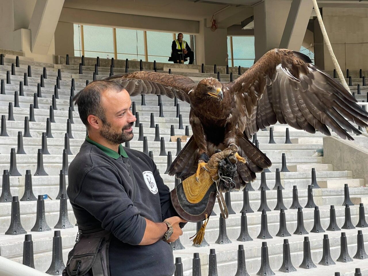 Με ανάρτησή της η ΠΑΕ ΑΕΚ ανέβασε φωτογραφίες από τον αετό που θα πετάει στο νέο γήπεδο της ομάδας όταν μετακομίσει στη Νέα Φιλαδέλφεια.