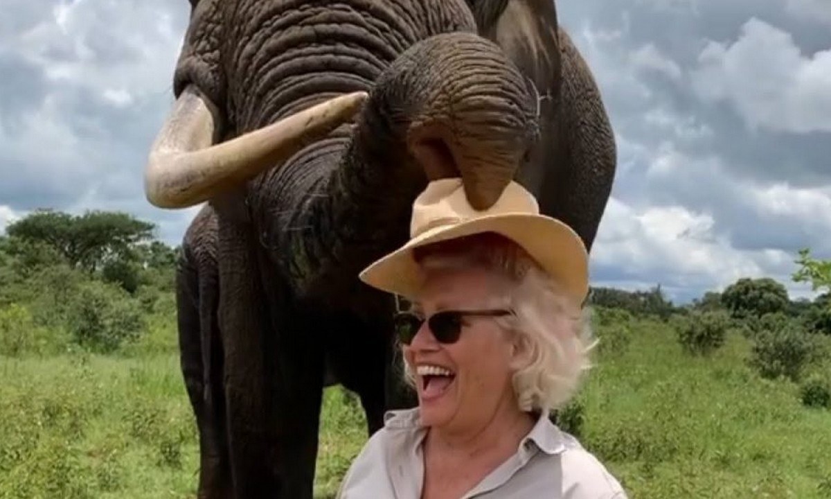 Viral: Η φάρσα ενός ελέφαντα σε γυναίκα