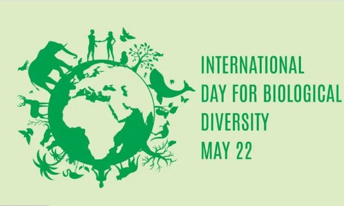 22 Μαΐου: Παγκόσμια Ημέρα Βιοποικιλότητας