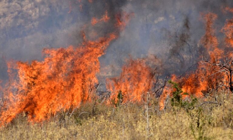 Φωτιά μεγάλης έκτασης στο Δήμο Αχαρνών