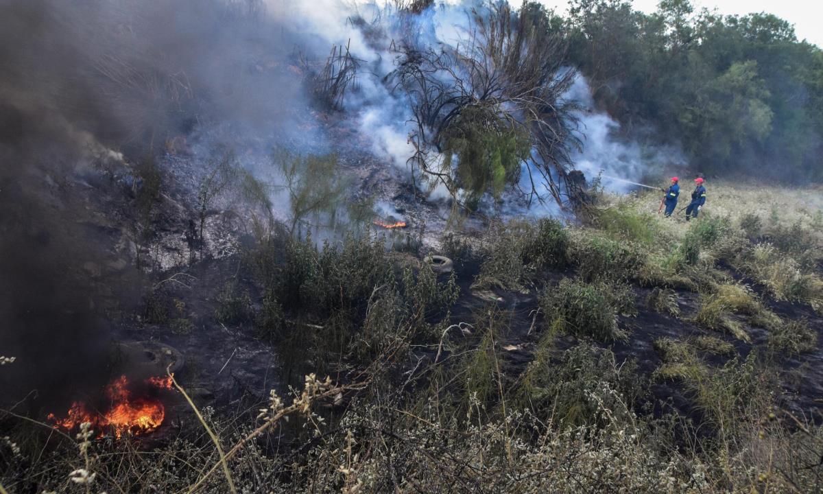 Έχει ξεσπάσει φωτιά σε χωράφι στο Μαρκόπουλο κοντά στην εταιρεία καλλυντικών fresh lines. Κίνδυνος επέκτασής της.