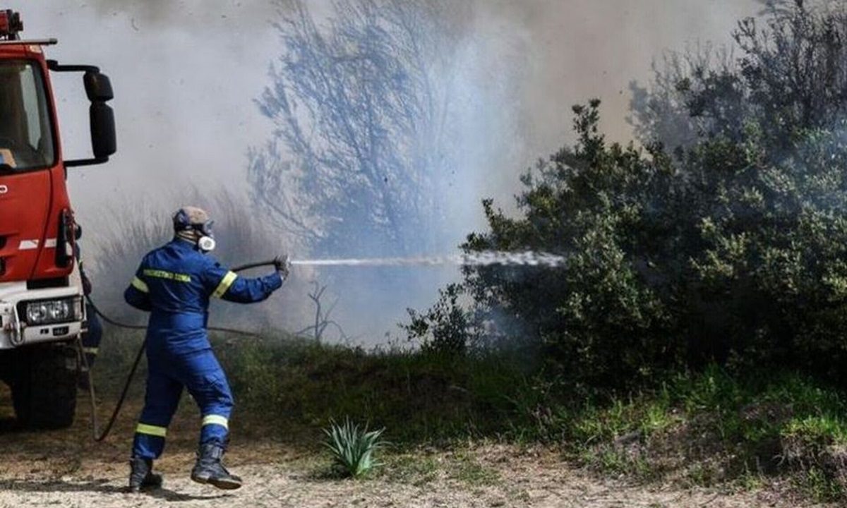 Φωτιά ξέσπασε το μεσημέρι του Σαββάτου (13/7) σε χαμηλή βλάστηση στην περιοχή των Βασιλικών στη Σαλαμίνα
