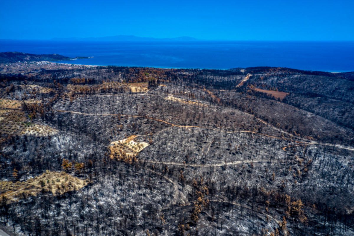 Πυρκαγιές: Ποιοι έχουν στο στόχαστρο την Εύβοια και την καίνε κάθε χρόνο; – Άλλα 17.500 στρέμματα δάσους έγιναν στάχτη ως τώρα