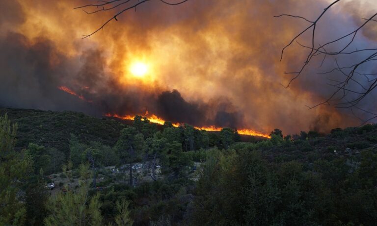 Φωτιά στην Αττική: Πολύ δύσκολη η κατάσταση – Συνεχόμενες αναζωπυρώσεις – Αυξάνονται οι δυνάμεις της Πυροσβεστικής! (vids)