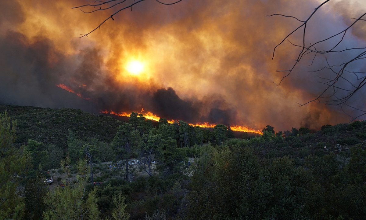 Φωτιά στην Αττική: Πολύ δύσκολη η κατάσταση – Συνεχόμενες αναζωπυρώσεις – Αυξάνονται οι δυνάμεις της Πυροσβεστικής! (vids)