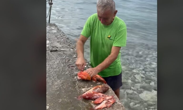 Τρώγεται το ωμό συκώτι σκορπιού; Κι όμως ναι και μάλιστα για κάποιους είναι και απίθανος μεζές