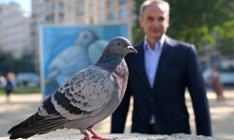 Μήπως να το ξανασκεφτούμε για το περιστέρι;